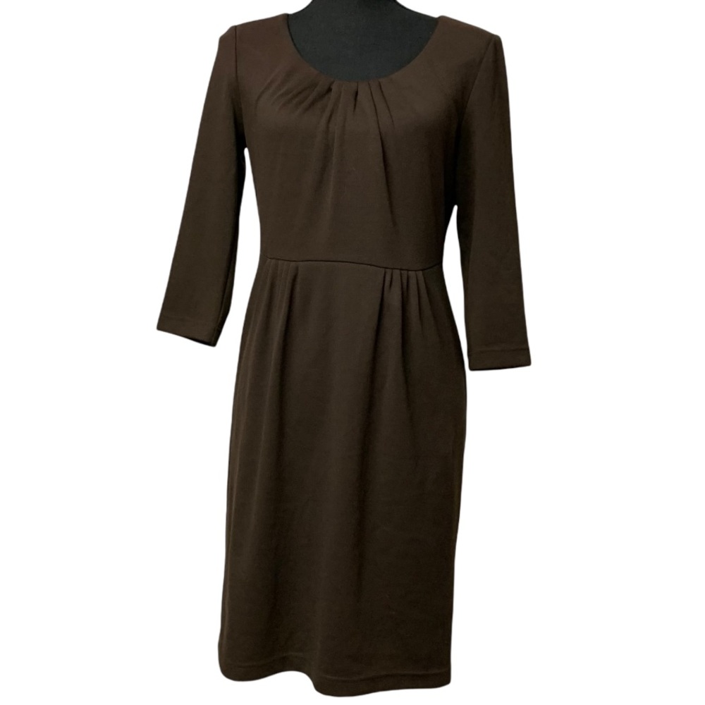 Adrianna Papell Petite Brown Dress 10P